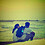 Viraj_Bhatt
